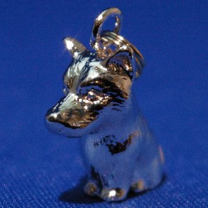 画像2: 遺骨ペンダント（カプセル　小）　柴犬【ゆうパケット発送対応商品】