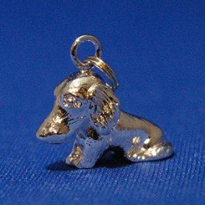 画像2: 遺骨カプセルキーホルダー（カプセル　小）　ミニチュア・ダックスフンド【ゆうパケット198円発送対応商品】