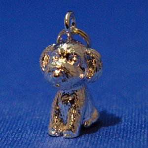 画像2: 遺骨ペンダント（カプセル　大）　トイ・プードル【ゆうパケット発送対応商品】