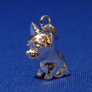 画像2: 　遺骨カプセルキーホルダー（カプセル　大）　チワワ【ゆうパケット198円発送対応商品】