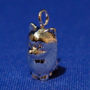 画像6: 遺骨ペンダント（カプセル　小）　ポメラニアン【ゆうパケット発送対応商品】