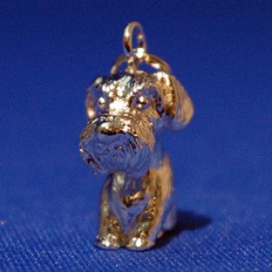 画像7: 遺骨ペンダント（カプセル　大）　シュナウザー【ゆうパケット発送対応商品】