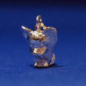 画像6: 遺骨ペンダント（カプセル　小）　パピヨン【ゆうパケット発送対応商品】