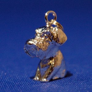 画像6: 遺骨ペンダント（カプセル　大）　シュナウザー【ゆうパケット発送対応商品】