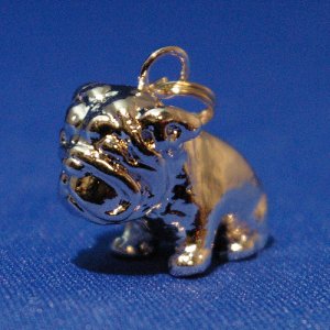 画像6: 遺骨ペンダント（カプセル　大）　ブルドッグ【ゆうパケット発送対応商品】