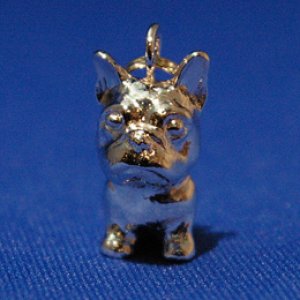 画像7: 遺骨ペンダント（カプセル　小）　フレンチ・ブルドッグ【ゆうパケット発送対応商品】