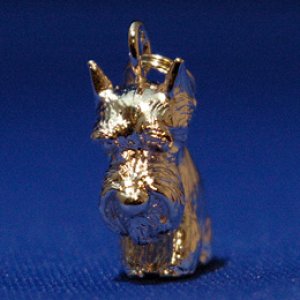 画像7: 遺骨カプセルキーホルダー（カプセル　小）　シュナウザー立ち耳【ゆうパケット発送対応商品】