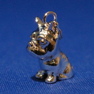 画像6: 遺骨ペンダント（カプセル　小）　フレンチ・ブルドッグ【ゆうパケット発送対応商品】