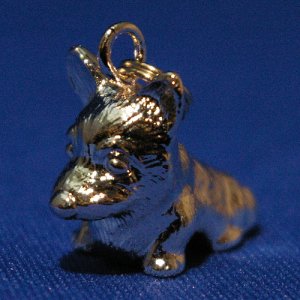 画像6: 遺骨カプセルキーホルダー（カプセル　大）　ウェルシュ・コーギー【ゆうパケット発送対応商品】