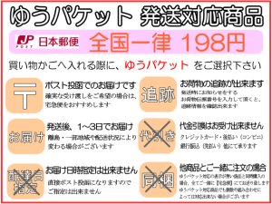 画像4: 遺骨ペンダント（カプセル　小）　キャバリア【ゆうパケット発送対応商品】