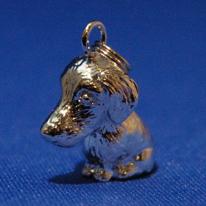 画像6: 遺骨ペンダント（カプセル　小）　ゴールデン・レトリバー【ゆうパケット発送対応商品】