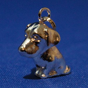 画像6: 遺骨ペンダント（カプセル　大）　ラブラドール・レトリバー【ゆうパケット発送対応商品】