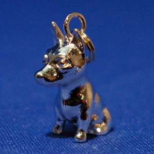 画像6: 遺骨カプセルキーホルダー（カプセル　大）　ミニチュア・ピンシャー【ゆうパケット発送対応商品】