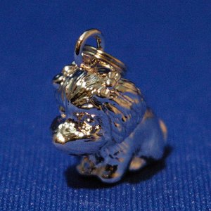 画像6: 遺骨カプセルキーホルダー（カプセル　大）　マルチーズ【ゆうパケット発送対応商品】