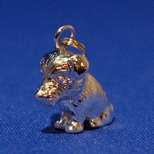 画像6: 遺骨ペンダント（カプセル　大）　ジャックラッセル・テリア【ゆうパケット発送対応商品】