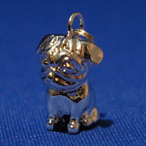 画像6: 遺骨ペンダント（カプセル　大）　パグ【ゆうパケット発送対応商品】