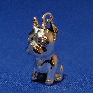 画像6: 遺骨ペンダント（カプセル　大）　ボストン・テリア【ゆうパケット発送対応商品】