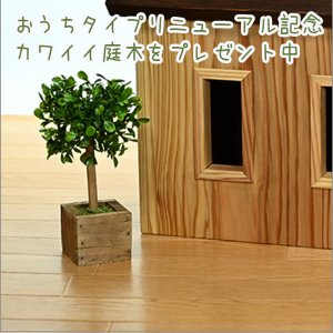 画像18: あの子のおうちペット仏壇　家具職人が作った仏壇（日本製）４寸骨袋が入る