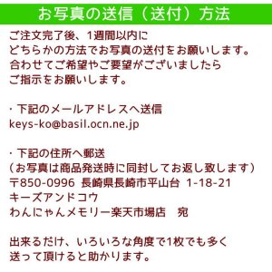 画像15: ペット仏具 オーダー羊毛フェルト わんちゃん お写真から制作 かわいい おもかげ 日本製 羊毛フェルト 犬