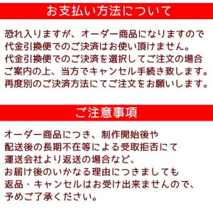 画像14: ペット仏具 オーダー羊毛フェルト わんちゃん お写真から制作 かわいい おもかげ 日本製 羊毛フェルト 犬