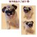 画像5: ペット仏具 オーダー羊毛フェルト わんちゃん お写真から制作 かわいい おもかげ 日本製 羊毛フェルト 犬