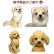 画像6: ペット仏具 オーダー羊毛フェルト わんちゃん お写真から制作 かわいい おもかげ 日本製 羊毛フェルト 犬