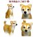 画像10: ペット仏具 オーダー羊毛フェルト わんちゃん お写真から制作 かわいい おもかげ 日本製 羊毛フェルト 犬