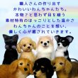画像2: ペット仏具 オーダー羊毛フェルト わんちゃん お写真から制作 かわいい おもかげ 日本製 羊毛フェルト 犬
